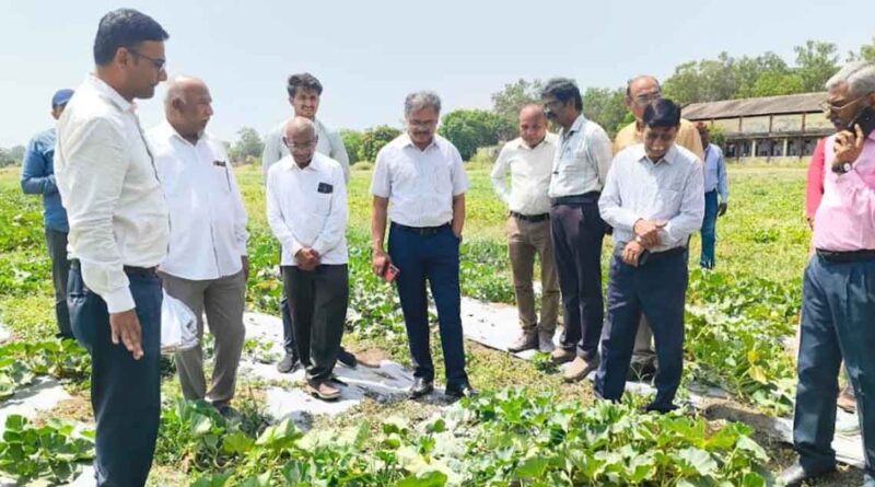 उन्नत हाइब्रिड बीज उत्पादन तकनीकों का अवलोकन करने जेएनकेवीवी पहुँचे एपीसी अशोक वर्णवाल