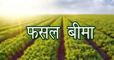 मौसम की मार से बचाएगी फसल बीमा योजना, जानिए क्लेम करने की पूरी प्रक्रिया और फायदे