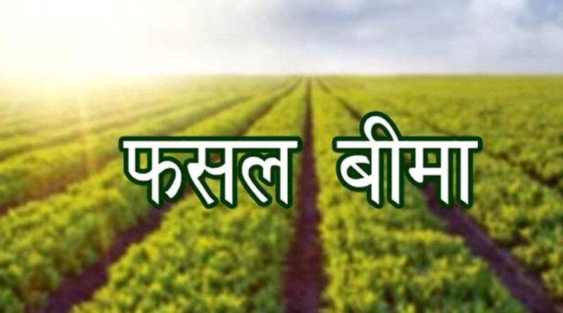 मौसम की मार से बचाएगी फसल बीमा योजना, जानिए क्लेम करने की पूरी प्रक्रिया और फायदे