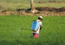 किसान इस प्रतिबंधित कीटनाशक का इस्तेमाल करने से बचें
