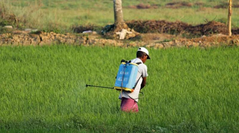 किसान इस प्रतिबंधित कीटनाशक का इस्तेमाल करने से बचें