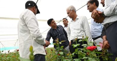 धार : बदनावर में महक रहे विदेशी फूल और ब्लूबेरी