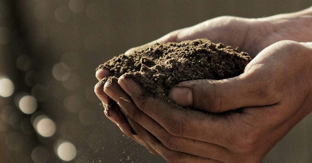 सिवनी: पीएसबी से बढ़ेगी फास्फोरस की उपलब्धता, मिट्टी की उर्वरा शक्ति होगी मजबूत