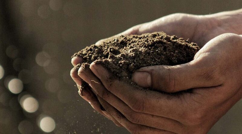 सिवनी: पीएसबी से बढ़ेगी फास्फोरस की उपलब्धता, मिट्टी की उर्वरा शक्ति होगी मजबूत