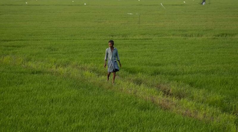 कटनी: सर्वोत्तम कृषक पुरस्कार हेतु 30 जून तक आवेदन आमंत्रित