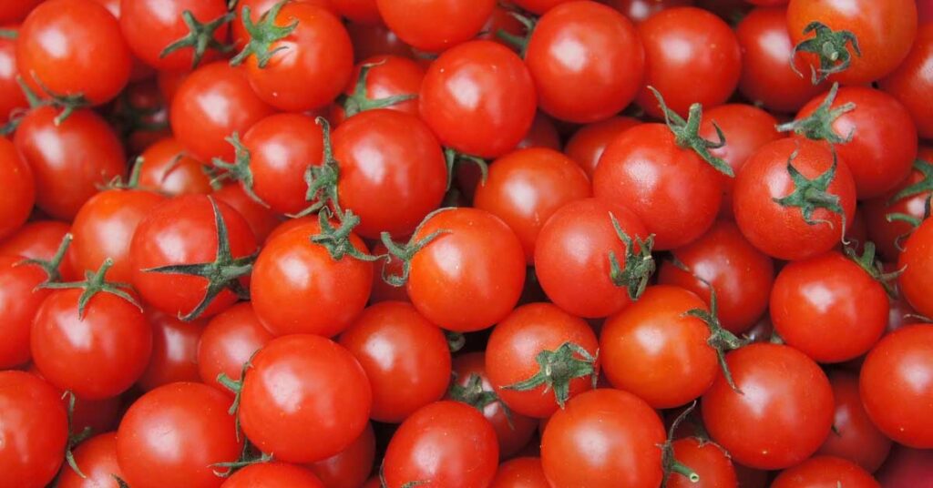 Tomato Price: टमाटर के दामों में उतार-चढ़ाव, 400 से 4,500 रुपये क्विंटल के बीच रहे भाव; जानें MP-महाराष्ट्र की मंडियों का हाल