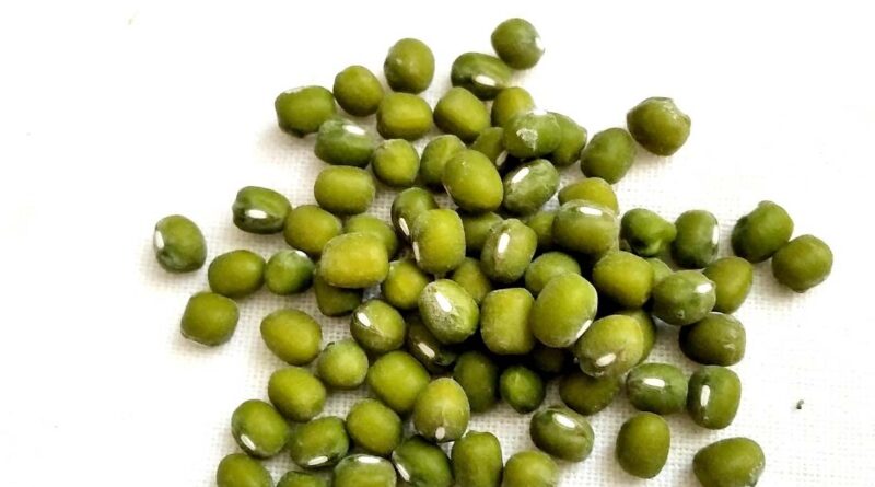 देवास जिले के किसान मूंग फसल उपार्जन के लिए 15 जून तक  कराएं पंजीयन