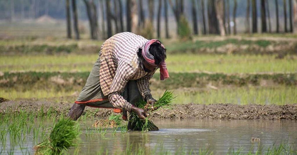 बिहार के किसानों के लिए राहत, फसल नुकसान पर मिलेगा ₹22,500 प्रति हेक्टेयर तक अनुदान; 24 जून तक करें आवेदन