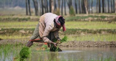 बिहार के किसानों के लिए राहत, फसल नुकसान पर मिलेगा ₹22,500 प्रति हेक्टेयर तक अनुदान; 24 जून तक करें आवेदन