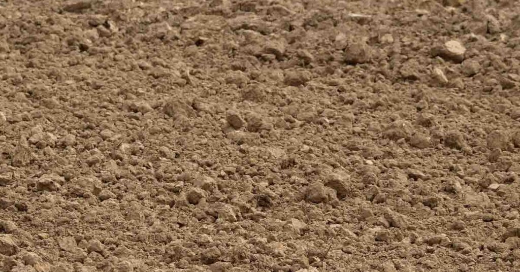 मिट्टी जांच कराए बिना खाद डालना क्यों बन रहा है किसानों के लिए महंगा सौदा?