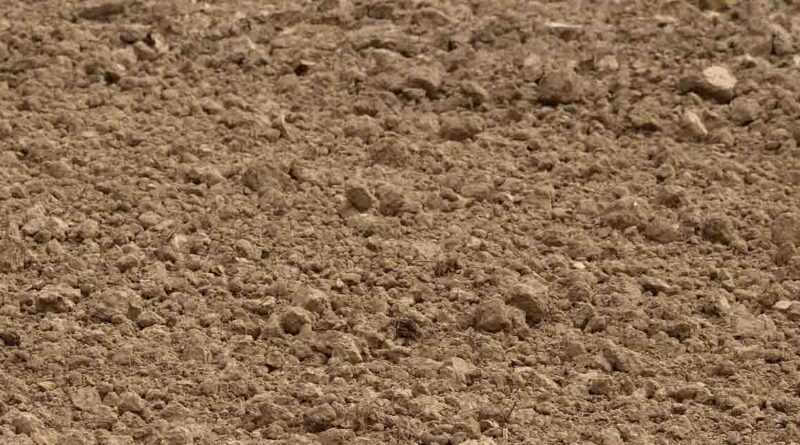 मिट्टी जांच कराए बिना खाद डालना क्यों बन रहा है किसानों के लिए महंगा सौदा?