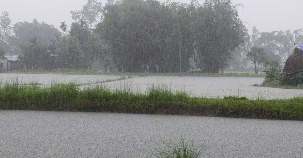 IMD Weather Update: असम-मेघालय में भारी बारिश का अलर्ट, बिहार-झारखंड होंगे तरबतर; MP-राजस्थान में भी बदलेगा मौसम