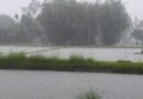 IMD Weather Update: असम-मेघालय में भारी बारिश का अलर्ट, बिहार-झारखंड होंगे तरबतर; MP-राजस्थान में भी बदलेगा मौसम