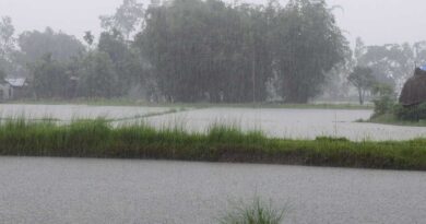 IMD Weather Update: असम-मेघालय में भारी बारिश का अलर्ट, बिहार-झारखंड होंगे तरबतर; MP-राजस्थान में भी बदलेगा मौसम