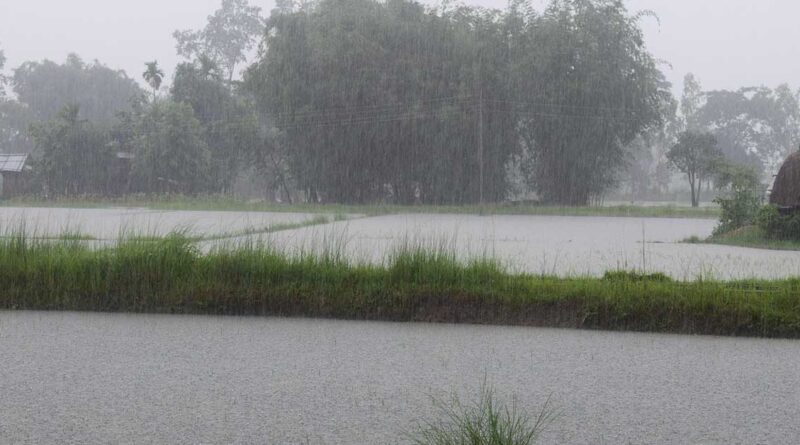 IMD Weather Update: असम-मेघालय में भारी बारिश का अलर्ट, बिहार-झारखंड होंगे तरबतर; MP-राजस्थान में भी बदलेगा मौसम