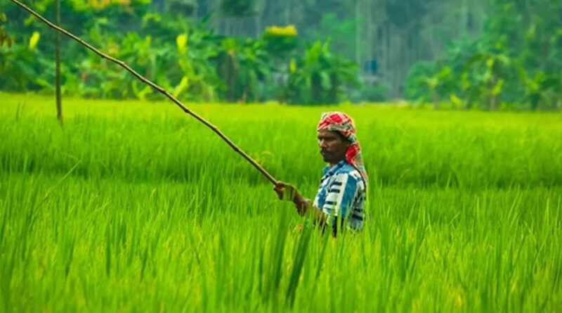 कृषि विभाग में 157 सहायक कृषि अधिकारियों की नियुक्ति, किसानों को मिलेगा बेहतर तकनीकी मार्गदर्शन