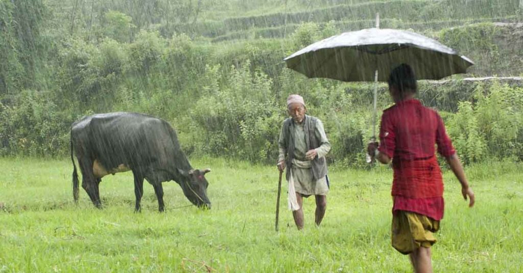 Weather Update: अगले 4 दिनों में मानसून पकड़ेगा रफ्तार, कई राज्यों में भारी बारिश का अलर्ट; बिहार-यूपी में हीटवेव जारी 
