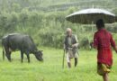 Weather Update: अगले 4 दिनों में मानसून पकड़ेगा रफ्तार, कई राज्यों में भारी बारिश का अलर्ट; बिहार-यूपी में हीटवेव जारी 