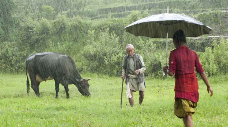 Weather Update: अगले 4 दिनों में मानसून पकड़ेगा रफ्तार, कई राज्यों में भारी बारिश का अलर्ट; बिहार-यूपी में हीटवेव जारी 