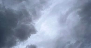 MP Weather Update: मध्यप्रदेश के कई जिलों में झमाझम बारिश, तेज आंधी का असर; अगले 4 दिन में और आगे बढ़ेगा मानसून