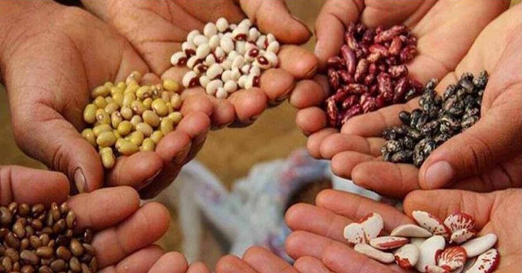 अब जल्दी मिलेगा बीज प्रमाणीकरण, राजस्थान सरकार ने किसानों के हित में बदले नियम