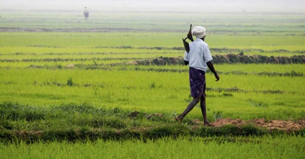 लघु किसानों के लिए वरदान बन रही टिकाऊ कृषि प्रणाली, बढ़ेगी आय और खाद्य सुरक्षा
