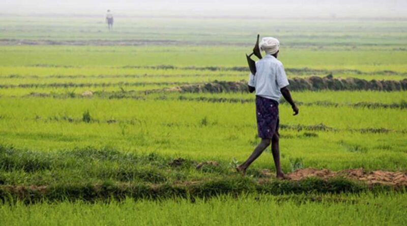 लघु किसानों के लिए वरदान बन रही टिकाऊ कृषि प्रणाली, बढ़ेगी आय और खाद्य सुरक्षा