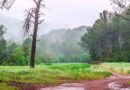 IMD Weather Update: पूर्वोत्तर में मूसलाधार बारिश का अलर्ट, यूपी में भीषण लू जारी; जानें आपके राज्य का मौसम