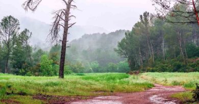 IMD Weather Update: पूर्वोत्तर में मूसलाधार बारिश का अलर्ट, यूपी में भीषण लू जारी; जानें आपके राज्य का मौसम