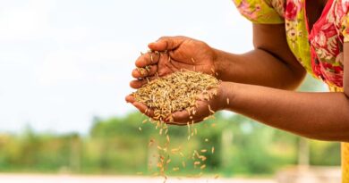 कृषि विज्ञान केंद्र, हरदा की कृषकों को सलाह