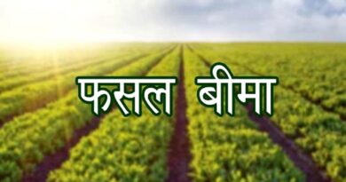मुरैना: प्रधानमंत्री फसल बीमा योजना बनी किसान का संबल
