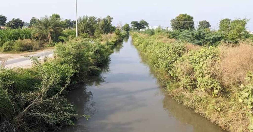 बरगी नहरों से खरीफ फसलों की सिंचाई हेतु 25 जून तक मांग पत्र आमंत्रित