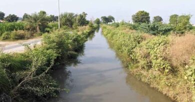 बरगी नहरों से खरीफ फसलों की सिंचाई हेतु 25 जून तक मांग पत्र आमंत्रित