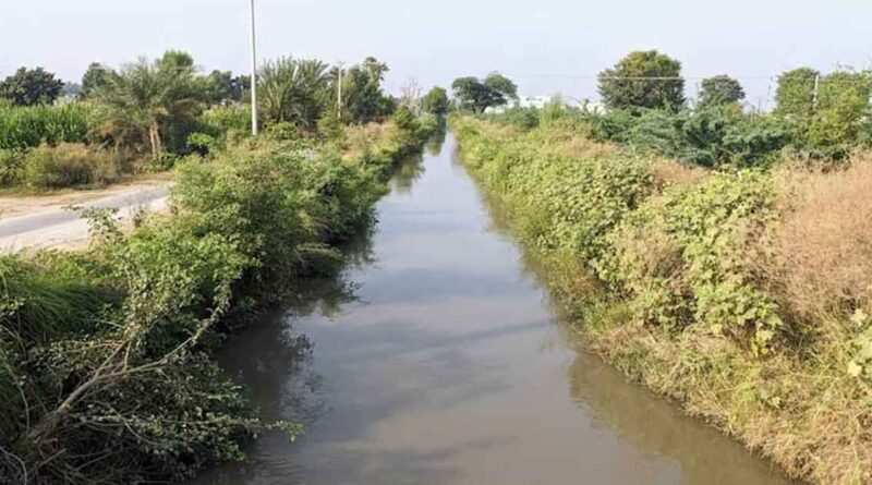बरगी नहरों से खरीफ फसलों की सिंचाई हेतु 25 जून तक मांग पत्र आमंत्रित