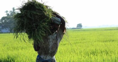 राजस्थान: खेत बचाओ अभियान के तहत गांव-गांव पहुंचेंगे कृषि वैज्ञानिक, किसानों से होगा सीधा संवाद
