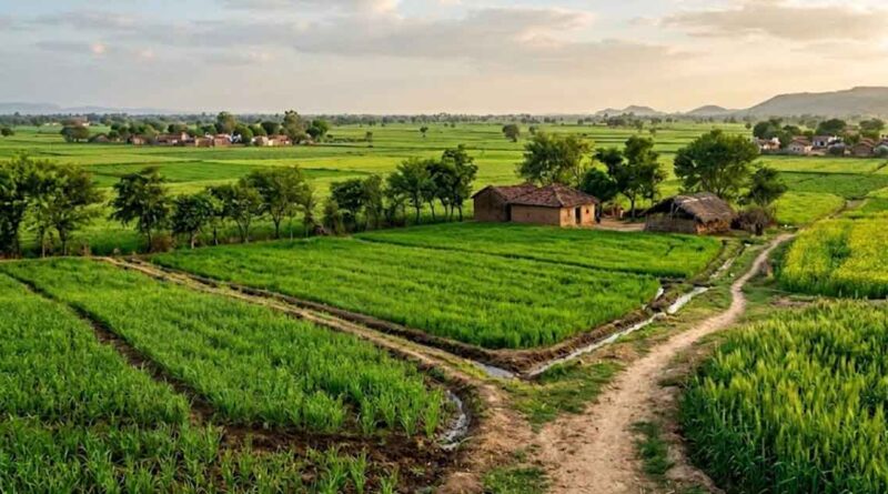 खेत बचाओ अभियान से जुड़े 9.42 लाख किसान, संतुलित उर्वरक उपयोग पर बढ़ा जोर
