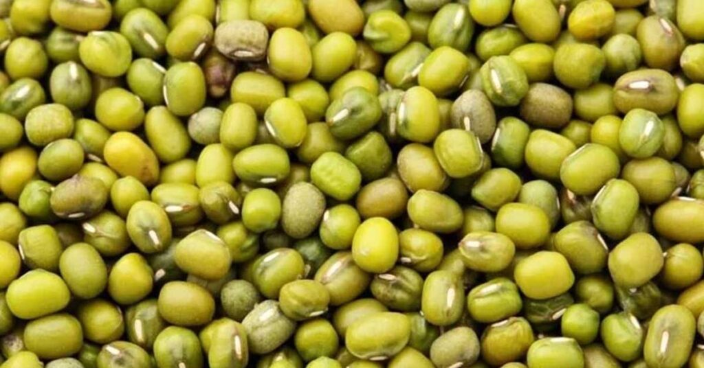 सीहोर: ई-उपार्जन पोर्टल पर ग्रीष्मकालीन मूंग के पंजीयन 15 जून तक