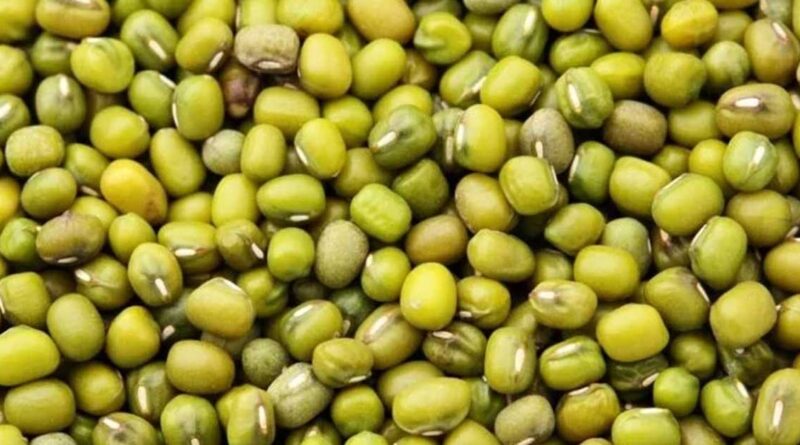 सीहोर: ई-उपार्जन पोर्टल पर ग्रीष्मकालीन मूंग के पंजीयन 15 जून तक