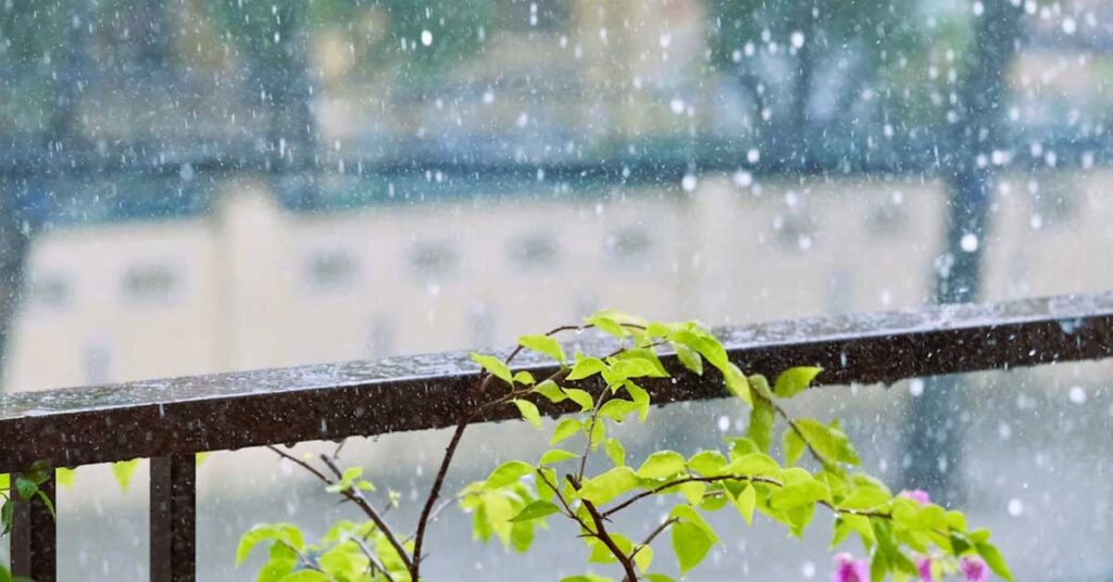 IMD Alert: मध्यप्रदेश में सक्रिय हुए मौसम सिस्टम, भोपाल-ग्वालियर समेत 35 जिलों में आंधी-बारिश का अलर्ट