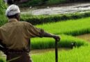26 पटवारियों का दो दिन का वेतन काटने के आदेश