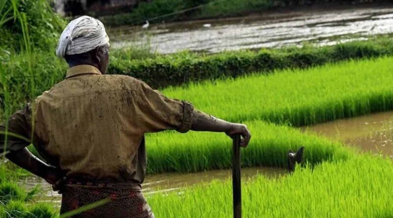 26 पटवारियों का दो दिन का वेतन काटने के आदेश