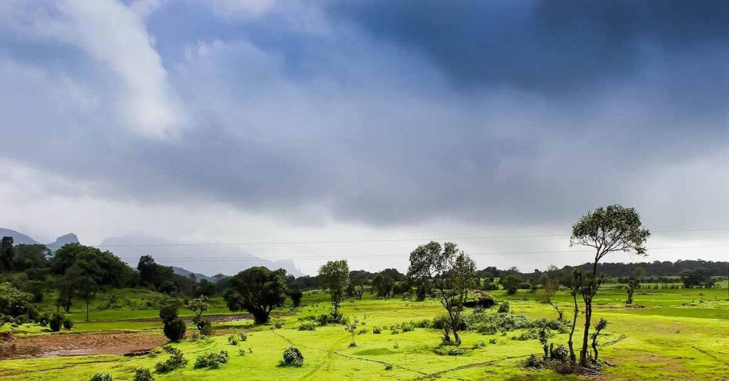 Weather Update: मानसून 2026 की तेज रफ्तार, दक्षिण से उत्तर तक भारी बारिश और आंधी-तूफान की चेतावनी  