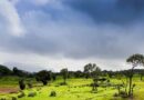 Weather Update: मानसून 2026 की तेज रफ्तार, दक्षिण से उत्तर तक भारी बारिश और आंधी-तूफान की चेतावनी  