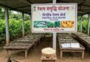 रेशम समृद्धि योजना के तहत किसानों का ऑनलाइन पंजीयन प्रारंभ