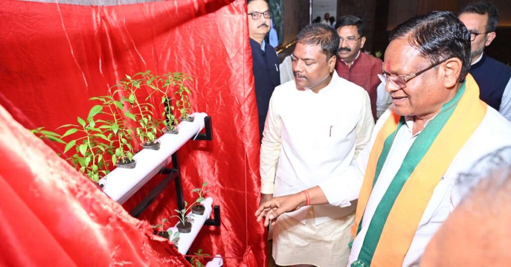 बिना मिट्टी की खेती से होगी बंपर कमाई! जानिए क्या है हाइड्रोपोनिक्स तकनीक