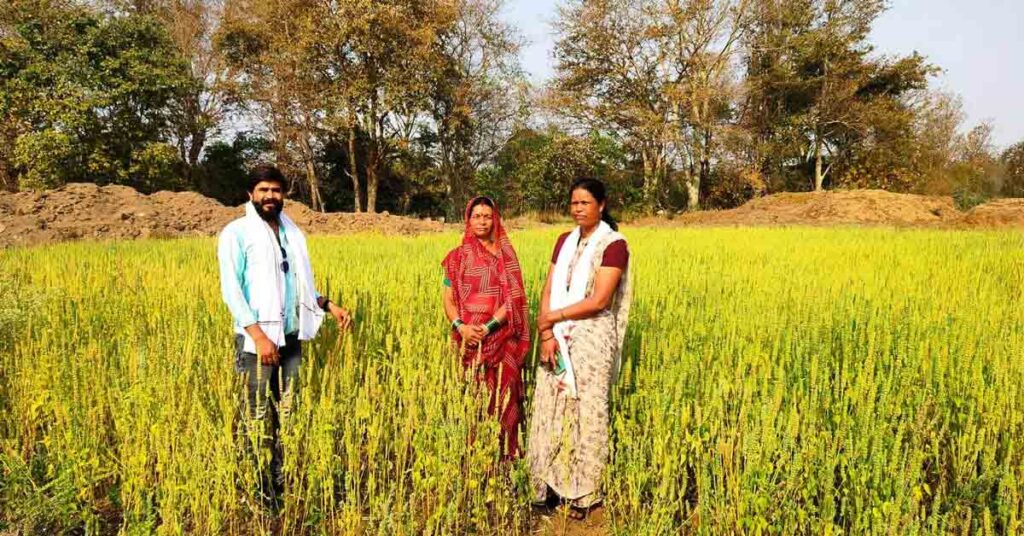 नौकरी छोड़ खेती को चुना, अब चिया-किनोवा को उगाकर कमा रहीं लाखों; सैकड़ों किसानों की बनीं प्रेरणा