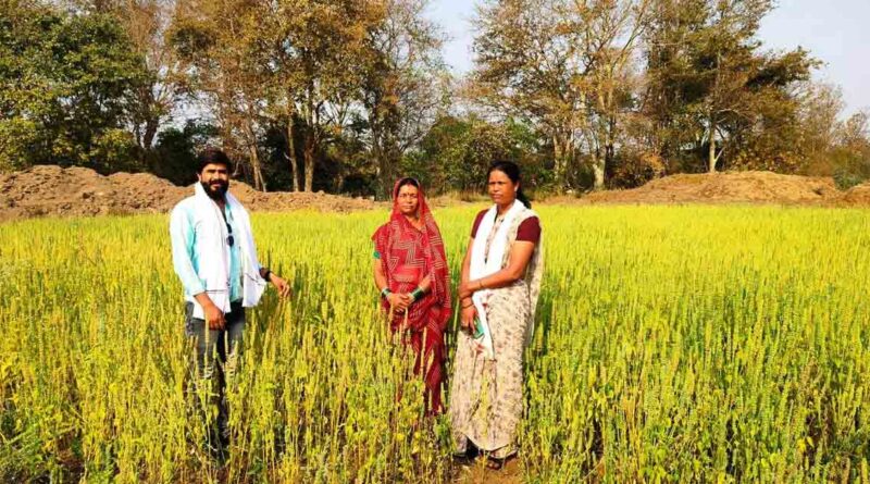 नौकरी छोड़ खेती को चुना, अब चिया-किनोवा को उगाकर कमा रहीं लाखों; सैकड़ों किसानों की बनीं प्रेरणा