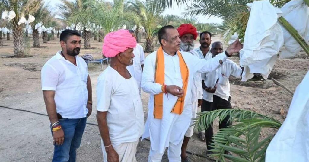 5 साल पहले मरुभूमि में लगाए थे 270 पौधे, आज खजूर का बाग दे रहा 10 लाख रुपये की सालाना कमाई; किसानों के लिए बना मिसाल
