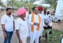 5 साल पहले मरुभूमि में लगाए थे 270 पौधे, आज खजूर का बाग दे रहा 10 लाख रुपये की सालाना कमाई; किसानों के लिए बना मिसाल