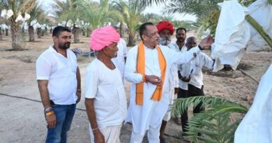 5 साल पहले मरुभूमि में लगाए थे 270 पौधे, आज खजूर का बाग दे रहा 10 लाख रुपये की सालाना कमाई; किसानों के लिए बना मिसाल